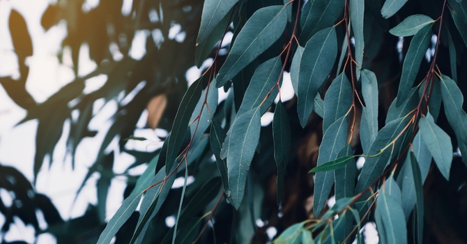 How to Know When Relationship Problems Are Affecting Your Mental Health